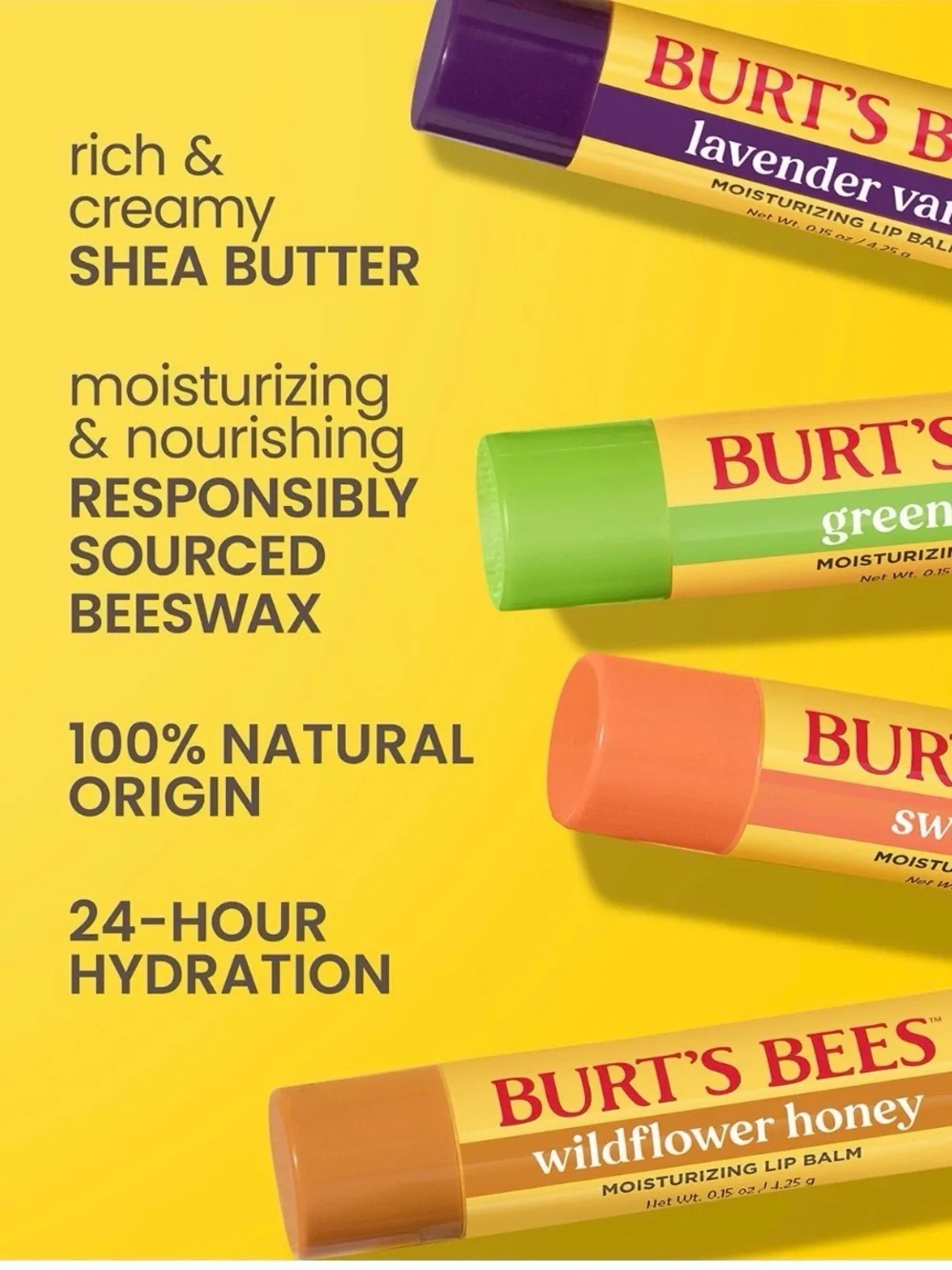 Burt’s Bee’s Lip Balm 10 Pack, Limited Ed ’’Meet Us In the Garden’, 0.15 oz each